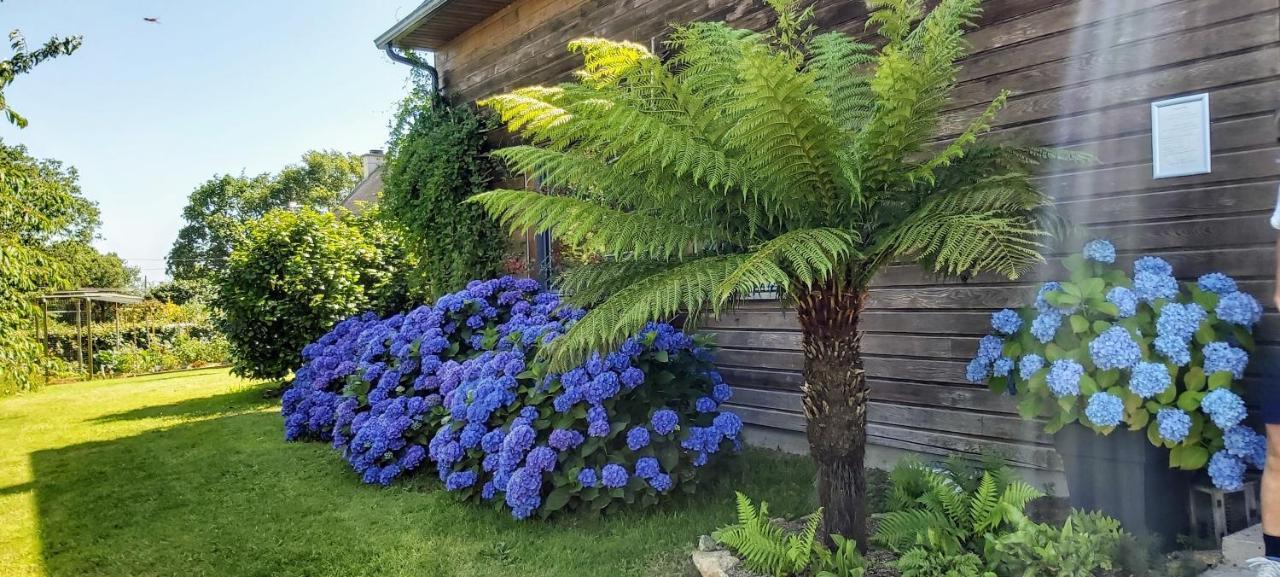 L'Oustaou Du Bodo Bed & Breakfast Ambon Exterior photo